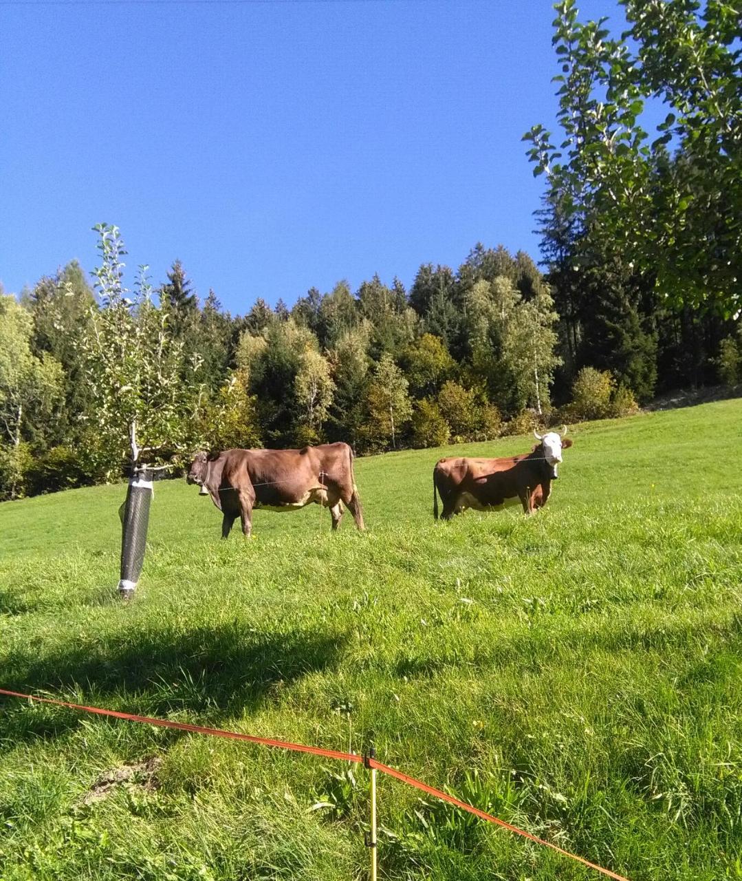 Stockhof Zell am Ziller Exterior foto