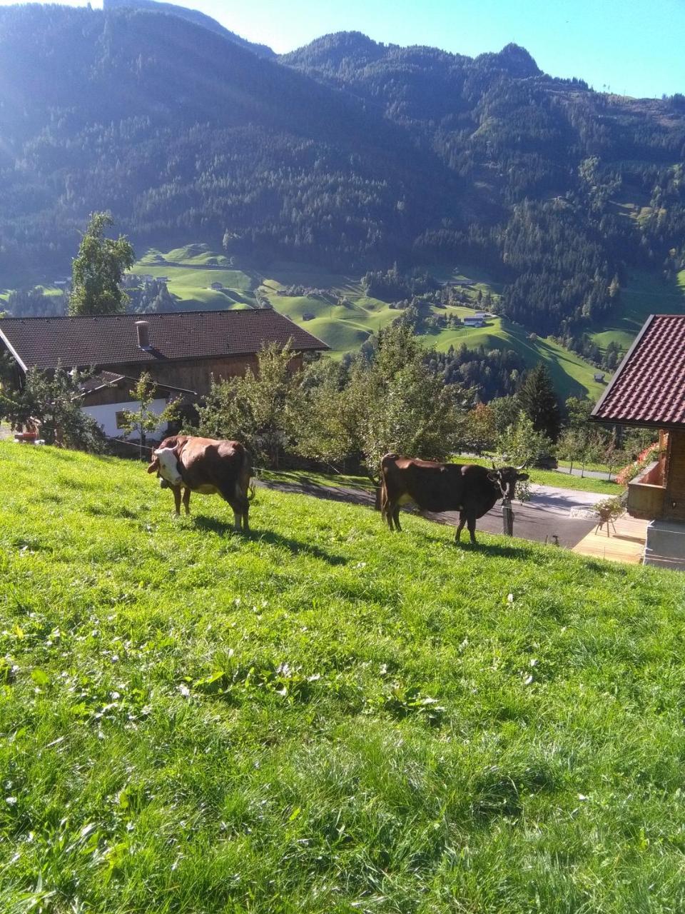 Stockhof Zell am Ziller Exterior foto